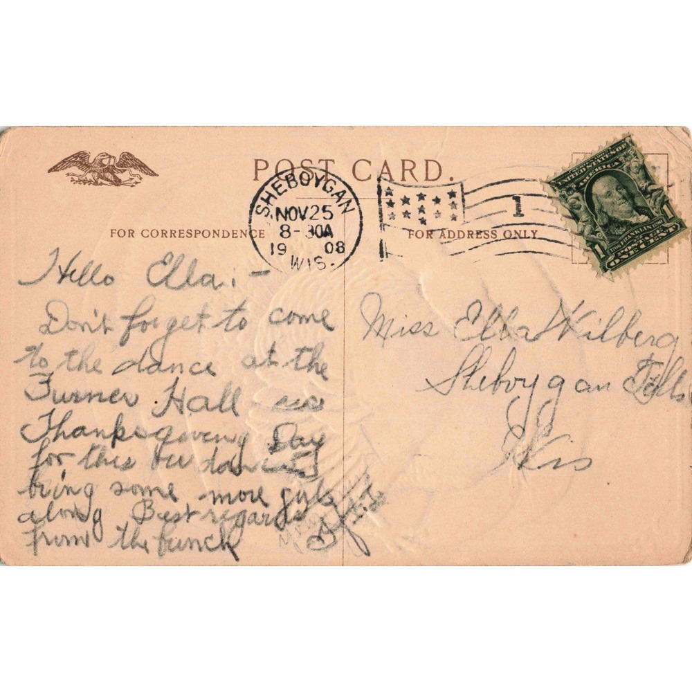 Vtg 1908 Thanksgiving Postcard RPPC Embossed Turkey Pumpkin Sheboygan WI - Picture 2 of 2